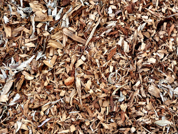 garden wood chips