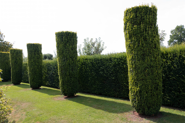 Topiary