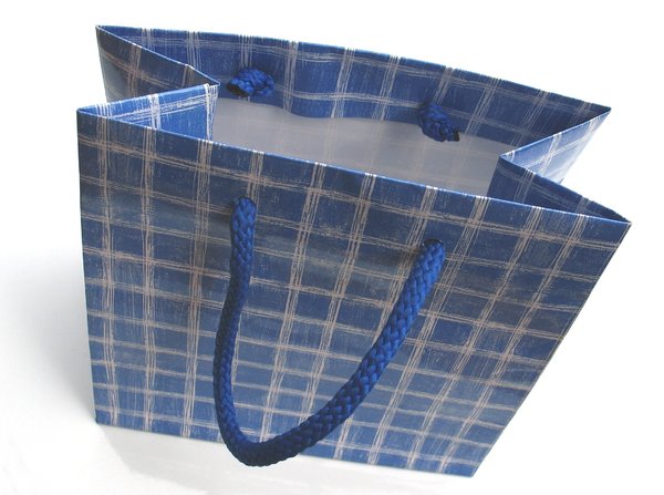 shopping bag 1