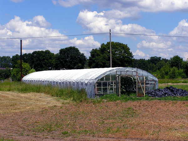 Greenhouse