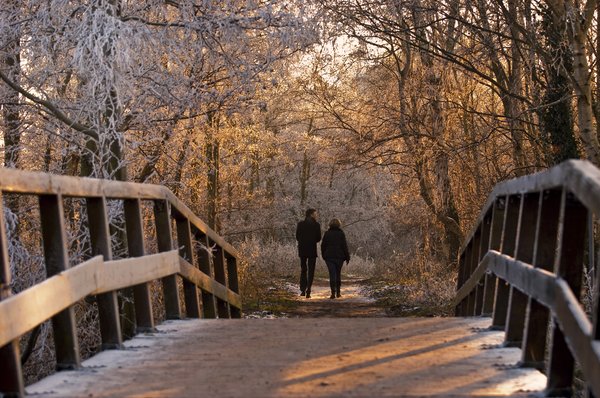 Winter walk