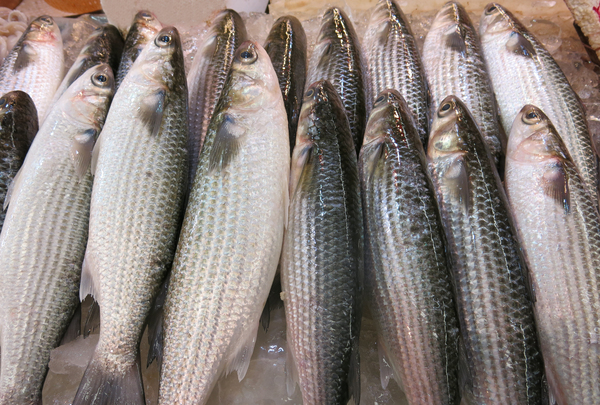 fish market