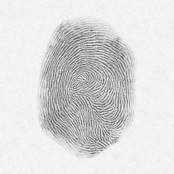 Fingerprint 5