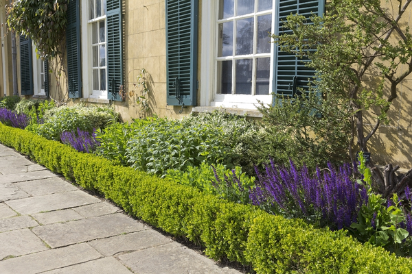 Flower border