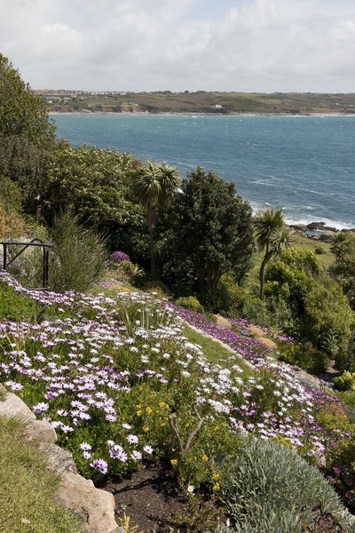 Rockery garden