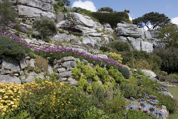 Rockery garden